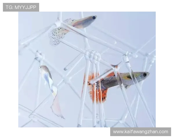 博鱼真人游戏多样化，满足不同玩家的娱乐需求与挑战欲望